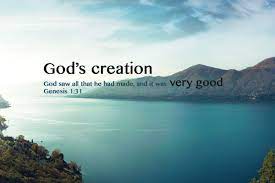 Maybe you would like to learn more about one of these? Quotes About God S Wonderful Creation 21 Quotes