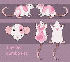 The minimum cage size for a pair of rats is 24 x 12 x 12 and it should have. Tiny The Dumbo Rat By Froslinewolf124 On Deviantart
