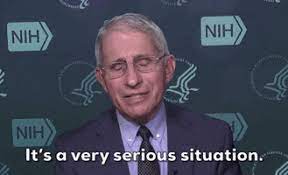 Basel iii would be the death of the paper gold market … chris martenson: Fauci Gif By Giphy News