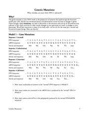 Mutations are the source of all new alleles in nature. 29 Genetic Mutation Worksheet Answer Key Free Worksheet Spreadsheet