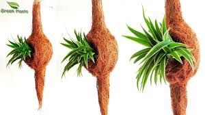 We did not find results for: Hand Made Engineer Bird Nest Planter Baya Weaver Nest Planter Diy Planter Idea Green Plants Youtube