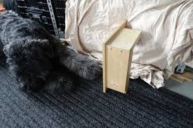 Check spelling or type a new query. Beginnen Met Zwaluwstaarten Woodworking Nl