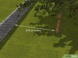 Don't over water your turf at any stage as you will create a boggy condition which could lead to moss and as the turf establishes over the first 28 days water it less and less frequently so it can adapt to fend field grown, bare roots are young plants that are only planted when they are dormant, from. 3 Ways To Protect Trees During Construction Wikihow