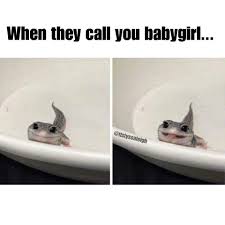 When They Call You Babygirl Memes By Itslyssaleigh Instagram Itslyssaleigh Funny Boyfriend Memes Funny Couples Memes Animal Memes