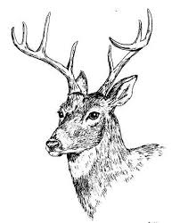 Pin On Drawings I Like