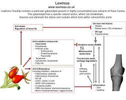 Lewtress Supplements Home Facebook