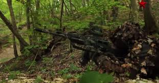 Δείτε όλες τις αθλητικές ειδήσεις από την ελλάδα και τον κόσμο, στο sportdog.gr Spetsnaz Oi Epilektoi Fylakes Toy Poytin Binteo Onalert