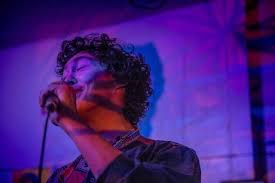 Hobo Johnson Music People Dream Guy Human