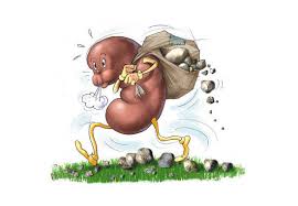 L'arrêt du tabac et l'adoption d'un régime alimentaire adapté est indispensable. Regime Et Insuffisance Renale Doit Etre Pauvre En Proteines L Apport Hydrique Et La Ration En Sel Doit Etre Calcule