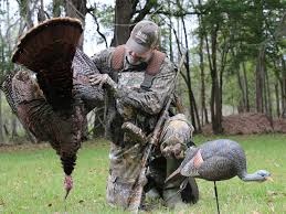 This is the number of points you receive for your turkey's beards. Your State By State Spring 2021 Turkey Forecast