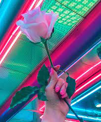 There are already 1 enthralling, inspiring and awesome images tagged with pink green aesthetic. Doctor Lollipop Neon Aesthetic Pink Aesthetic Vaporwave Aesthetic