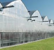 Poly Gutter Connect Greenhouses | Prins Greenhouses
