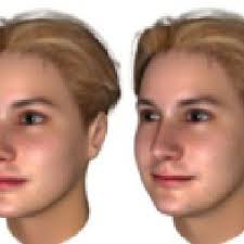 Example of FaceGen morphing: female to male. Morphing is also used to...
