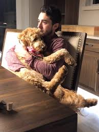Proud owner of two french bulldogs. Bond Between Flames Monahan Gaudreau Deepened By Love Of Puppies Sportsnet Ca