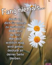 Habt Einen Schönen Nachmittag Ihr Lieben Und