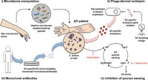Listen to saleem gill | soundcloud is an audio platform that lets you listen to what you love and share the 6 followers. Biotherapeutic Approaches In Atopic Dermatitis Tham 2020 Biotechnology Journal Wiley Online Library