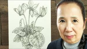 Drawing cyclamen with pencil (in 3 minutes)