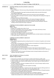 The finance manager job description involves tasks which focus on keeping company finances running smoothly. Corporate Relationship Manager Cv June 2021