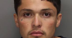 What You Read in 2016