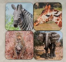 Mike Culley LBIPP, LRPS, LMPA Wildlife Photographer