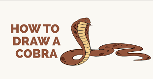 Today, jack and i are learning how to draw a snake…a cobra snake! How To Draw A Cobra Easy Step By Step Drawing Guides