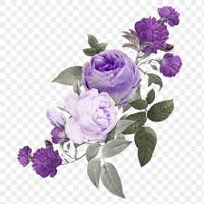 purple png roses flower bouquet vintage hand drawn sticker free image by rawpixel com hein in 2021 purple flower background flower png images flower art