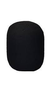 Pop Filter For Podcasting