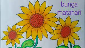 Download bermacam contoh gambar bunga mewarna yang hebat dan boleh. Menggambar Bunga Matahari Cara Menggambar Dan Mewarnai Bunga Yang Mudah Youtube