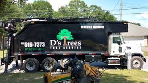 Dees tree service, breaux bridge, louisiana. D S Trees Serving Nw Florida