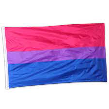 In celebration of pride month i colorpicked from emh to make some pretty flags cuz why not. 2 Pack Bisexual Pride Flag 5x3 Feet For Lgbt Pride Month Parades Events Garden Decorations Walmart Com Walmart Com