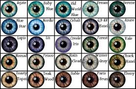Eye Color Chart Google Search Eye Color Chart Writing