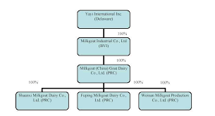 Yayi International Inc Ipo Investment Prospectus S 1 A