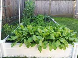 Raised planter boxes come in a variety of materials, allowing you to choose raised cedar planter boxes as well as composite, plastic or metal options. Bought A 12 X 4 Raised Bed From Costco And Filled Her Up Gardening