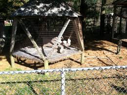 Explore & get best deals on hotels near animal farm petting zoo now! Animal Farm Petting Zoo In Manorville Photo Gallery