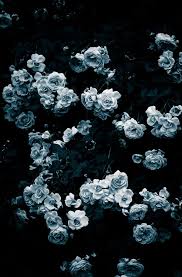 Black And Teal Aesthetic Wallpaper Rose Rose Rose Art Print By Noirblanc777 X Small In 2020 Flower Phone Wallpaper Flower Aesthetic Flower Wallpaper