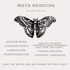 Moth Spirit Animal Spirit Animal Totem Animal Symbolism Butterfly Spirit Animal