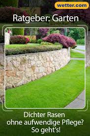 So Einfach Wird Dein Rasen Wieder Dicht Und Strapazierfahig Rasen Garten Gartenliebe Tipps Tricks Wissen Ratgeber Weisheiten Garten Rasen Gartenliebe