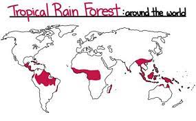 Tropical rainforest heritage of sumatra submission for nomination of tropical rainforest heritage of sumatra by the government of the republic of indonesia to be included in the world heritage. The Cities World Map Location Of Tropical Rainforest Tropical Rainforest Locations On Earth The Earth Images Revimage Org The World S Largest Continuous Tropical Rainforest The Daintree Is Also The Biggest