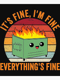 It's Fine I'm Fine Everythings Fine ...