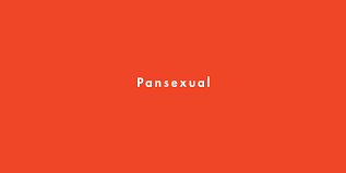 Other identities 1.1 bisexuality 2 flag and symbols 3 etymology 4 resources. What Is Pansexual Pansexual Meaning Explained
