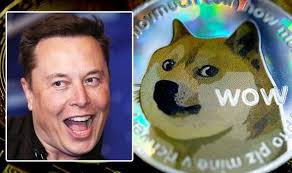 Live dogecoin price (doge) including charts, trades and more. Dogecoin Price Live What Is The Current Price Of Dogecoin And Should You Invest City Business Finance Express Co Uk