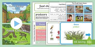 The food chain is a linear pathway, and it comprises only one pathway. Ks2 Food Chains Activity Pack Primary Resources