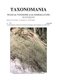 Image result for Diaphananthe lorifolia