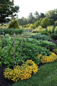 Vegetable Garden Vegetable Garden Design Plants Potager Garden