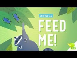 Scientiflix Life Science Lessons Fourth Grade Science Crash Course