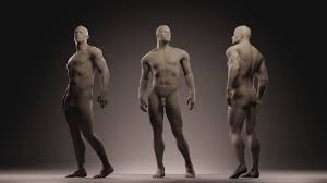 Anatomy is a branch of natural science which deals with the structural organization of living things. Male Anatomy Figure 3d Model Cgtrader