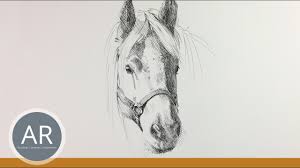 Pferdekopf Zeichnen Pferde Zeichnen Lernen Pferde Portraits Mappenkurs Kunst Youtube