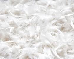Download 2,875 feather cushion stock illustrations, vectors & clipart for free or amazingly low rates! Duck Feather Filling Uk Duck Feather Filling Lancashire Textiles