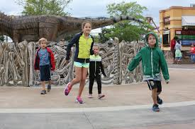 The columbus zoo and aquarium contributes $1 million annually to more than 70 conservation projects in 30 countries. Silvery Cheeked Hornbills Cheetah And Camel Rides At The Columbus Zoo Ruth E Hendricks Photography