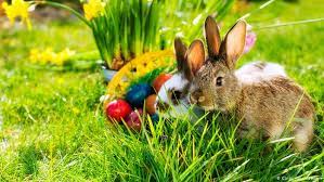 An den ostertagen denken die christen an den tod von jesus christus und feiern seine auferstehung. How To Celebrate Easter In Germany Lifestyle Dw 29 03 2018